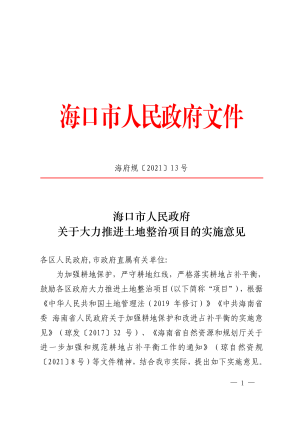 海口市人民政府《关于大力推进土地整治项目的实施意见》海府规〔2021〕13号