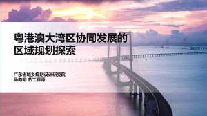 2024年全国国土空间规划年会《粤港澳大湾区协同发展的区域规划探索》马向明