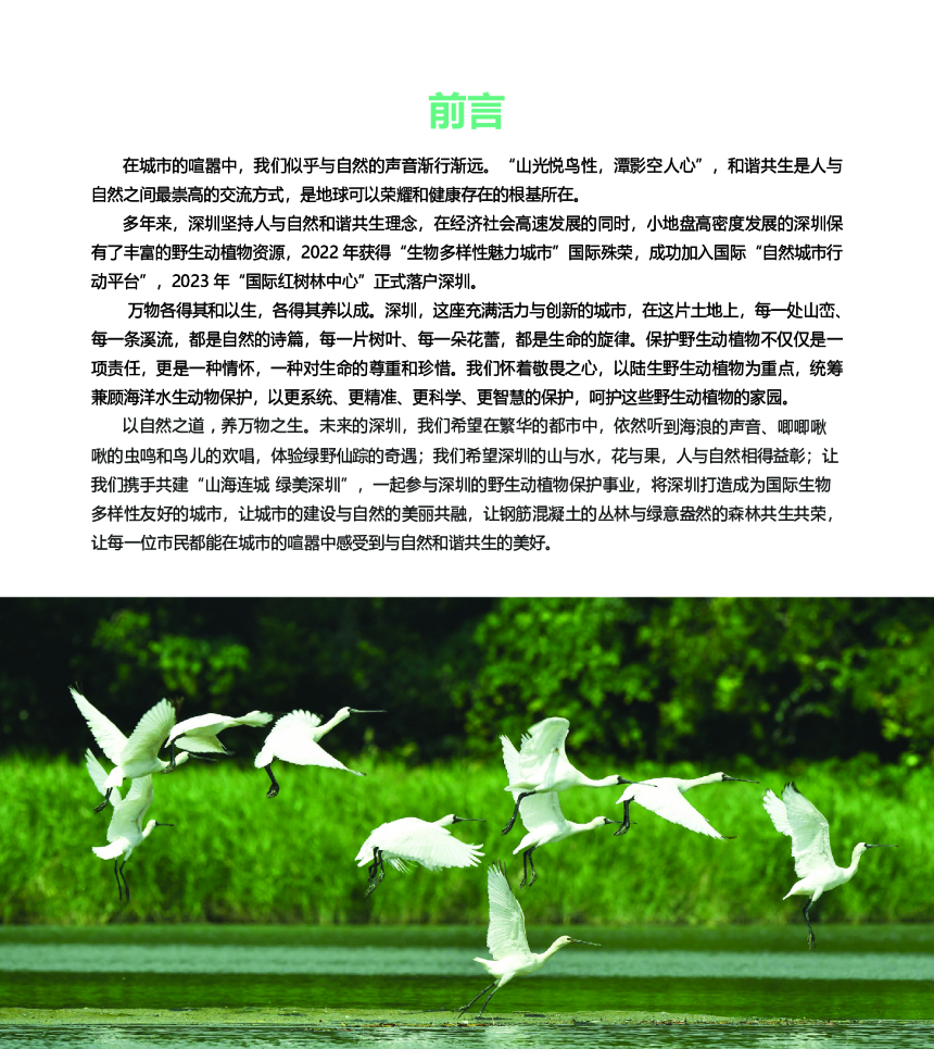 深圳市野生动植物保护规划（2024-2035）-2