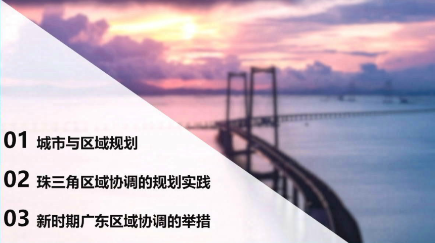 2024年全国国土空间规划年会《粤港澳大湾区协同发展的区域规划探索》马向明-2