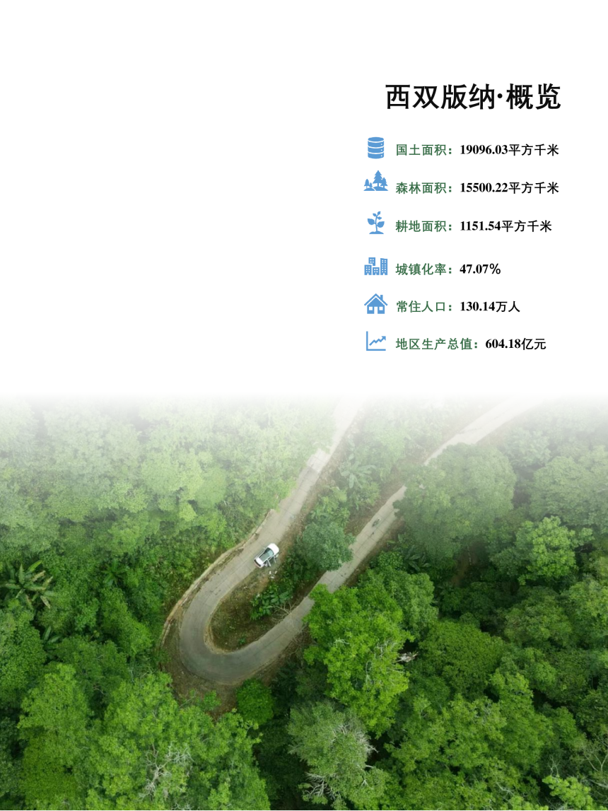 云南省西双版纳傣族自治州国土空间总体规划（2021-2035年）-3
