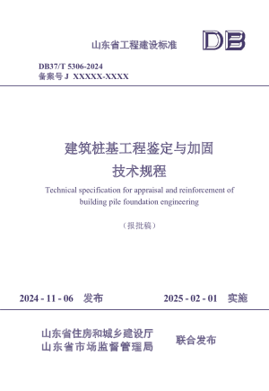 山东省《建筑桩基工程鉴定与加固技术规程》DB37/T 5306-2024